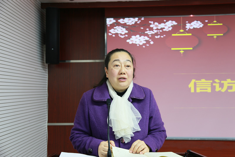稳中求进 担当作为 着力提高信访工作效能——卢万兵在2019年信访工作